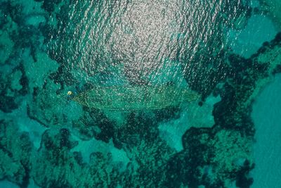 Bubbles swimming in sea