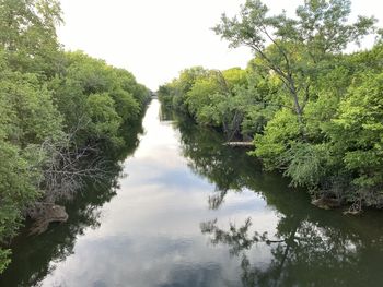 Scenic view of river amidst trees in forest against sky