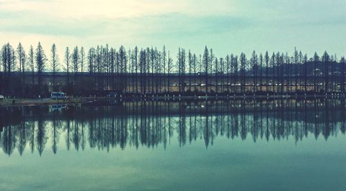 Reflection of trees in lake against sky