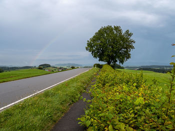 Trees growing on field by road against sky