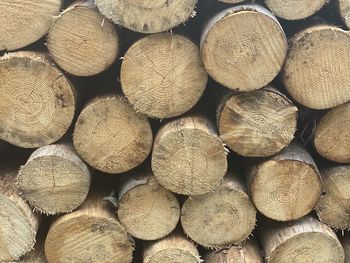 Full frame shot of logs