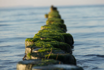 Close-up of sea against sky