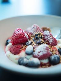 Close-up of dessert served in plate