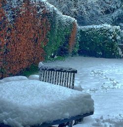 Snow on shore during winter