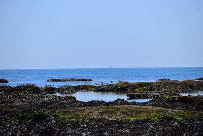 Scenic view of sea against clear sky