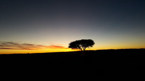 Silhouette trees on field against sky at sunset