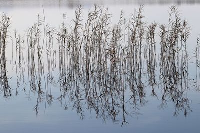 Scenic view of lake against sky during winter