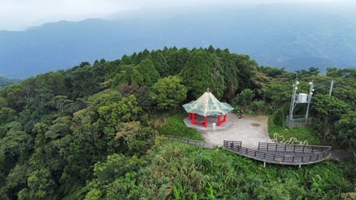 High angle view of trees on mountain