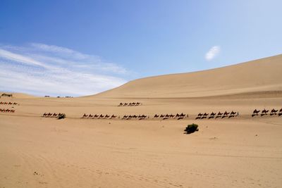 Scenic view of desert against sky