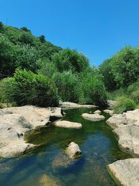 Scenic view of lake against clear blue sky