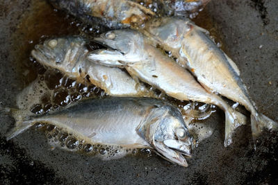 Frying mackerel in a pan, cooking ideas