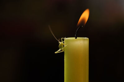 Close-up of illuminated lamp against black background