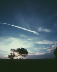 Silhouette trees on field against sky