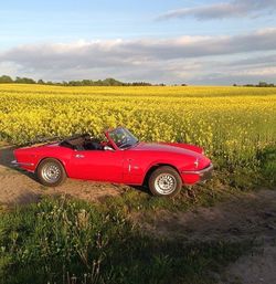 Vintage car on field against sky