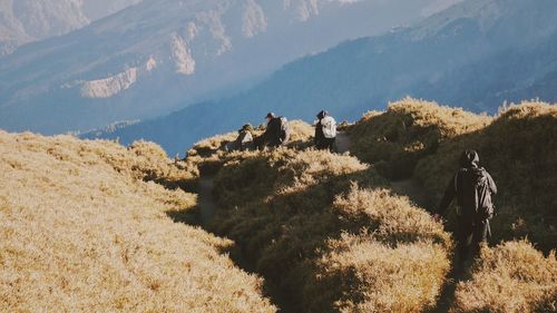 People walking on mountain road