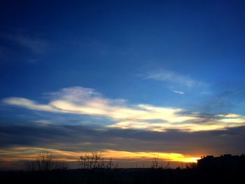 Silhouette of trees at sunset