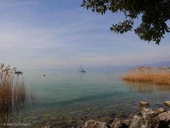 Scenic view of sea against sky