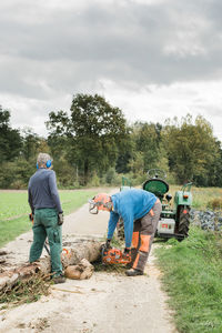 Rear view of people working on land