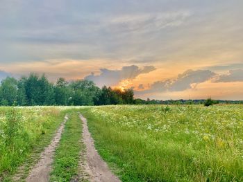 Scenic view of field against sky during sunset