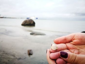 Cropped image of hands holding seashell at beach