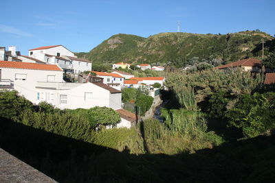 Houses and trees by buildings in city against sky