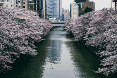 Canal amidst buildings in city