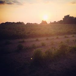 Sun shining over landscape