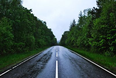 Empty road amidst trees against sky