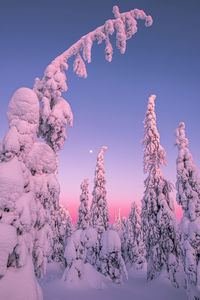 Snow covered landscape against sky during sunset