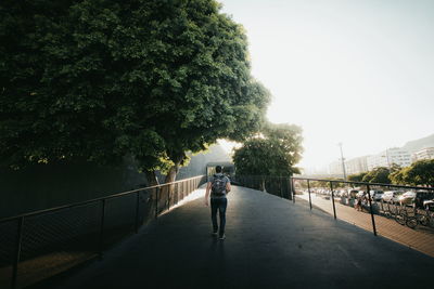 Rear view of man walking on bridge against trees