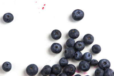 Close-up of blueberries against white background