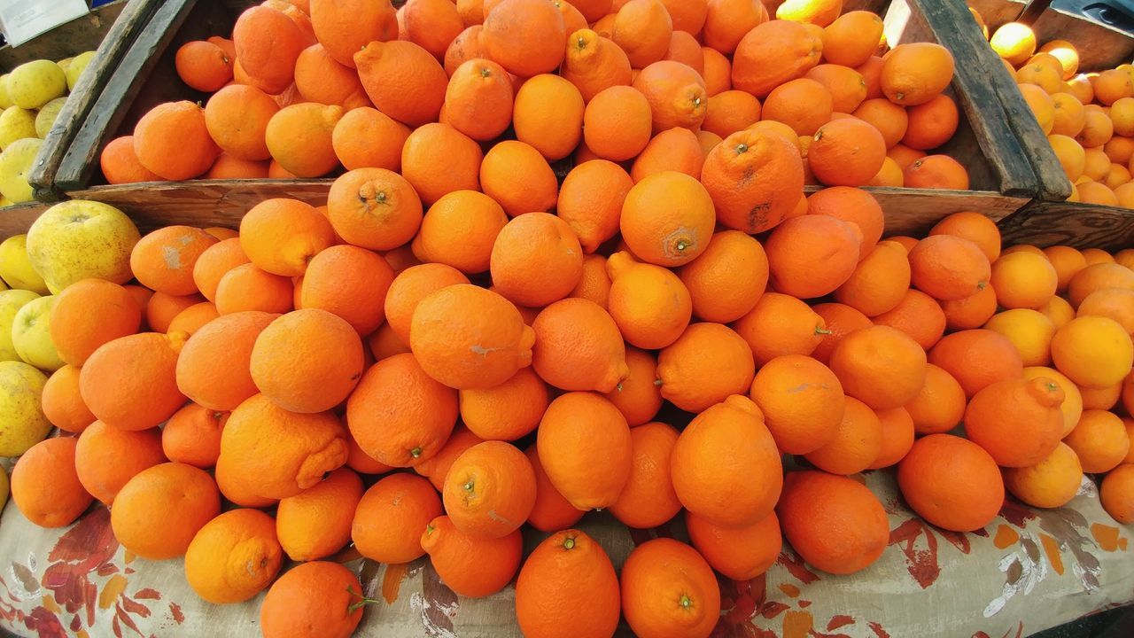 Citrus fruit on display