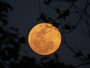 Low angle view of moon against sky at night