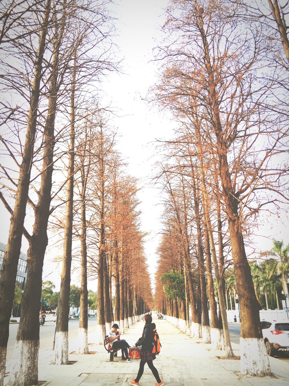 tree, lifestyles, leisure activity, transportation, men, mode of transport, land vehicle, person, bicycle, togetherness, bare tree, sitting, travel, tree trunk, full length, clear sky, the way forward, nature