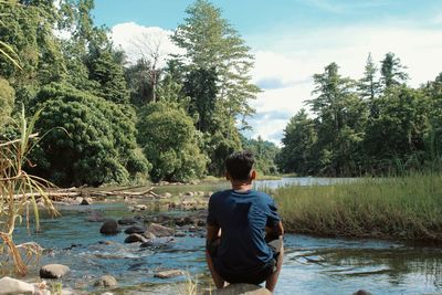 Rear view of man in lake against trees in forest