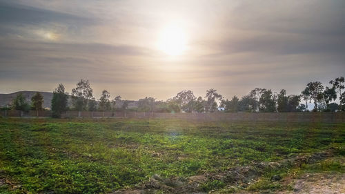 Scenic view of field against sky during sunset