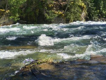 Scenic view of waterfall