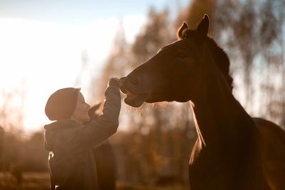 Side view of mid adult woman stroking horse while standing against sky in barn during sunset