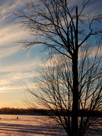 Silhouette bare tree by lake against sky during sunset