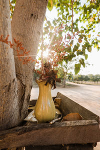 Close-up of a offering vase in bagan myanmar