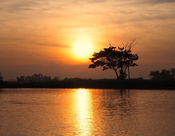 Silhouette tree by lake against sky during sunset