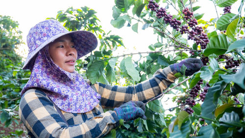 Woman wearing hat working in coffee farm