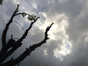 Silhouette of tree against cloudy sky