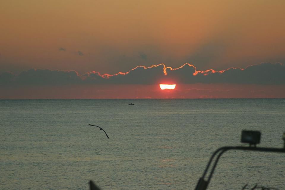 sunset, water, sea, scenics, sun, tranquil scene, tranquility, orange color, beauty in nature, bird, horizon over water, silhouette, nature, sky, idyllic, flying, reflection, waterfront, outdoors, nautical vessel