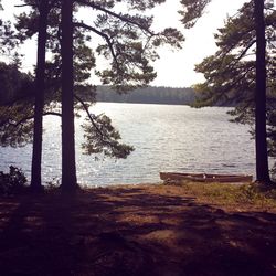 Scenic view of trees by river