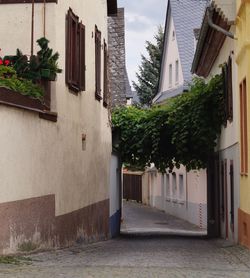 Street amidst houses and buildings in town