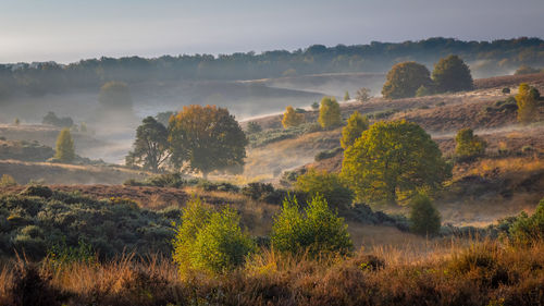 Panoramic view of landscape against sky posbank 