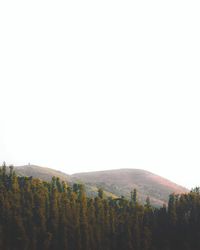 Scenic view of forest against clear sky