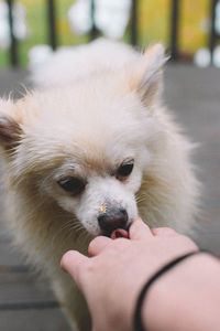 Close-up of hand holding camera