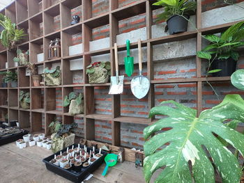 Potted plants in front of building